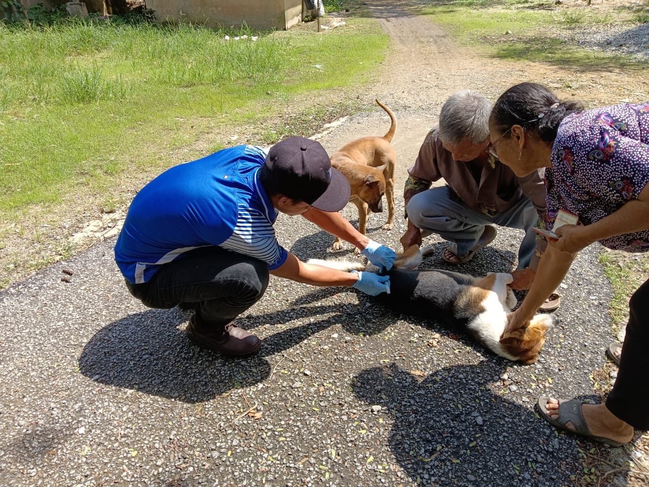 Program Suntikan Vaksinasi Rabies dan Perlesenan Anjing Peringkat Jajahan Pasir Mas 2